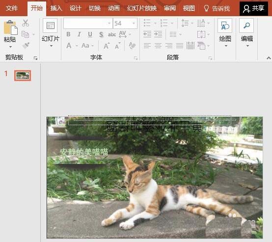 ppt制作天窗效果的详细操作
