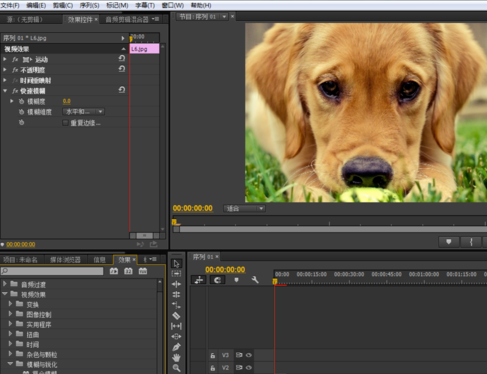 Premiere制作快速模糊效果的图文操作