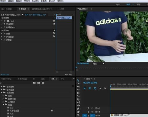 Premiere打造扭曲视频效果的操作流程