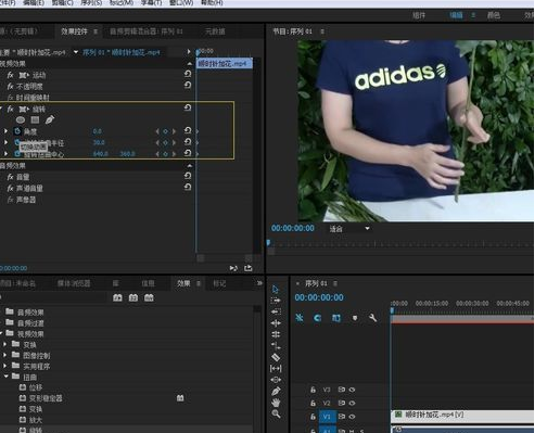 Premiere打造扭曲视频效果的操作流程