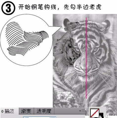 ai制作老虎头像的图文操作