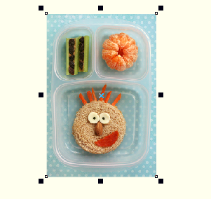 cdr打造三维旋转滤镜的操作流程