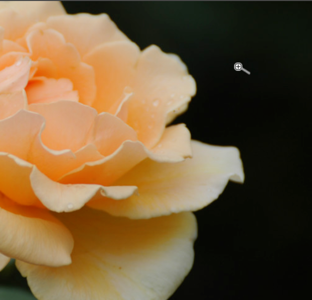 在Photoshop中使用抓手工具的具体操作步骤