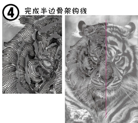 ai制作老虎头像的图文操作