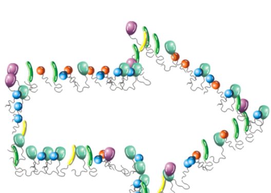 cdr制作气球箭头的图文操作