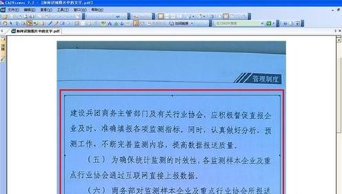 WPS识别图片中文字的详细操作过程