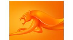 猎豹浏览器启动修改老板键的详细操作