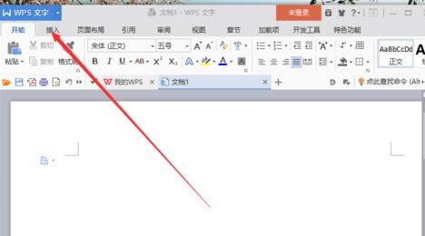 wps显示隐藏文字标记的操作流程