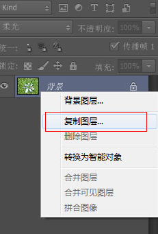 Adobe Photoshop CS6为草地打造亮丽颜色的详细操作