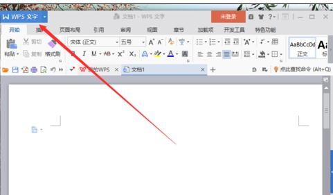 wps显示隐藏文字标记的操作流程