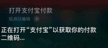 支付宝使用语音支付的操作流程