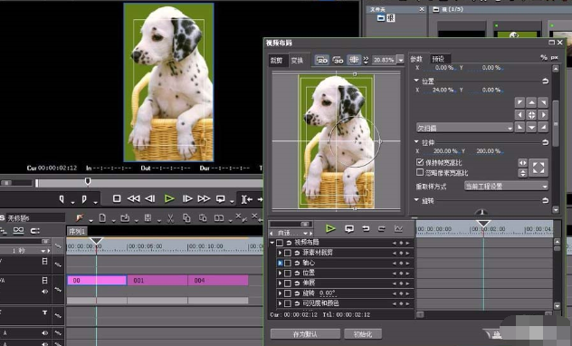 Edius制作竖向视频的图文操作