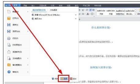 在WPS文字里去掉小点的图文操作