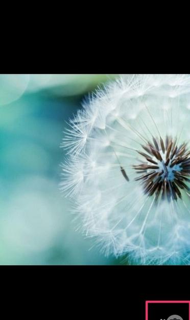 腾讯QQ设置群头像的操作过程