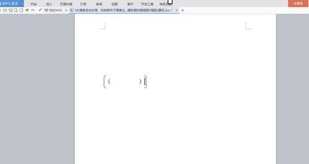 wps文字输入大括号小括号的简单操作