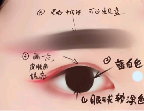 PS仿手绘制作水灵眼睛的详细操作