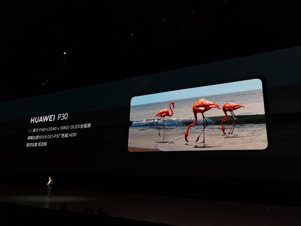 华为P30和P30 Pro正式现身国内：颜值出众