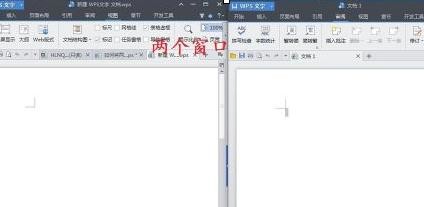 wps打开多个窗口的操作步骤
