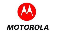 One Vision国行版本确定 命名Motorola P50