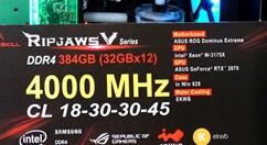 芝奇旗下384GB DDR4-4000内存现身