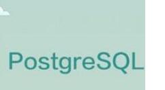 PostgreSQL 12 beta 1登场 新特性了解下