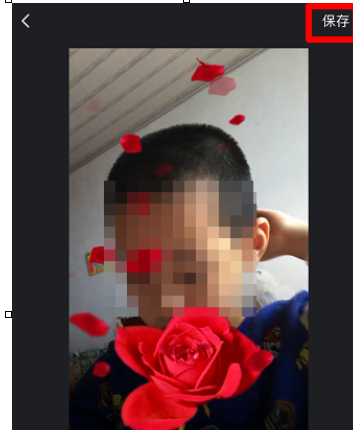 趣推拍摄出玫瑰花开特效的详细操作