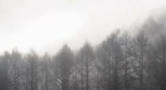 三星迎来292英寸8K LED电视：不需要关机！