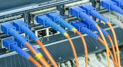 国产域名管理软件红枫系统2.0版上线