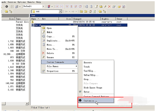 WinSCP中更改文件的打开方式的操作教程
