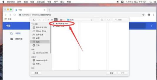 谷歌浏览器Mac版导入书签的操作步骤
