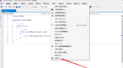 Visual Studio 2005(VS2005)中字体大小调整方法