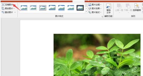 PPT2019压缩插入图片的操作教程