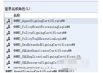 SQL Server 设置权限的具体操作教程