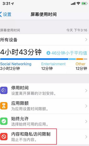 苹果6s访问限制设置方法步骤