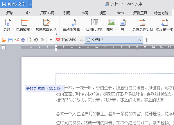 WPS Office 2016将指定页数设置为起始页的步骤