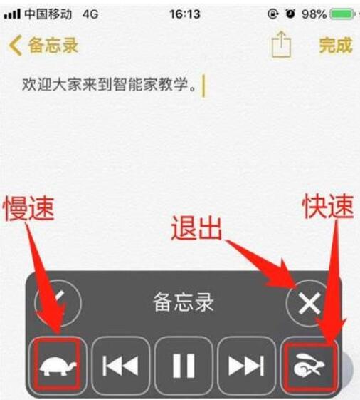 iphone11朗读屏幕的方法步骤