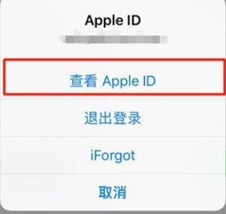 iPhone11pro max关闭自动订阅的操作流程