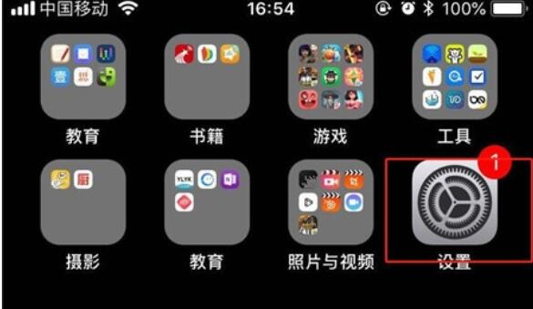 iPhone11pro max设置应用禁止使用流量的方法步骤
