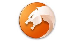 猎豹浏览器自定义缓存路径的操作方法