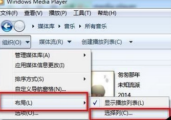 Windows Media Player查看歌曲详情内容的具体流程介绍