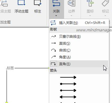 mindmanager设计流程图的具体方法