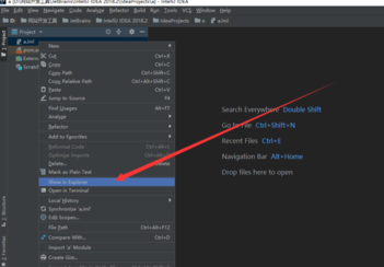 intellij idea里已存在项目的操作教程