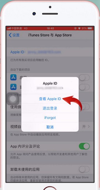苹果手机查询充值记录的操作步骤
