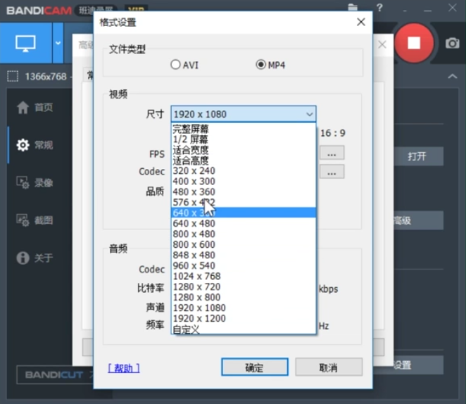 Bandicam设置录制视频尺寸的使用教程