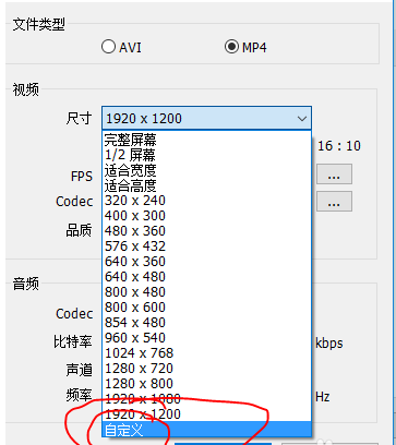 Bandicam的使用操作教程