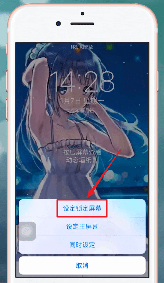熊猫动态壁纸APP设置锁屏的简单步骤