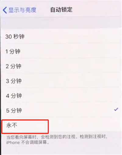 iphonexs中设置手机屏幕常亮的操作步骤