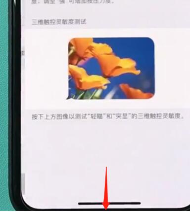 iphonexr中开启半屏功能的简单步骤