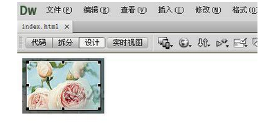 Dreamweaver进行图片编辑的操作步骤