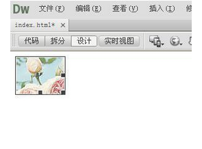 Dreamweaver进行图片编辑的操作步骤